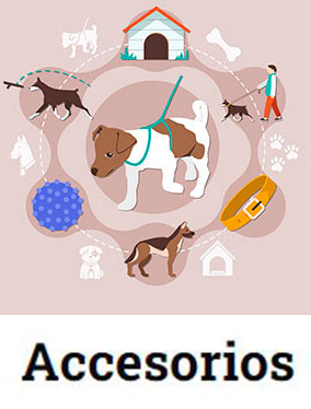 accesorios.jpg