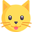 Comida para gatos