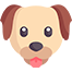 Comida para perros
